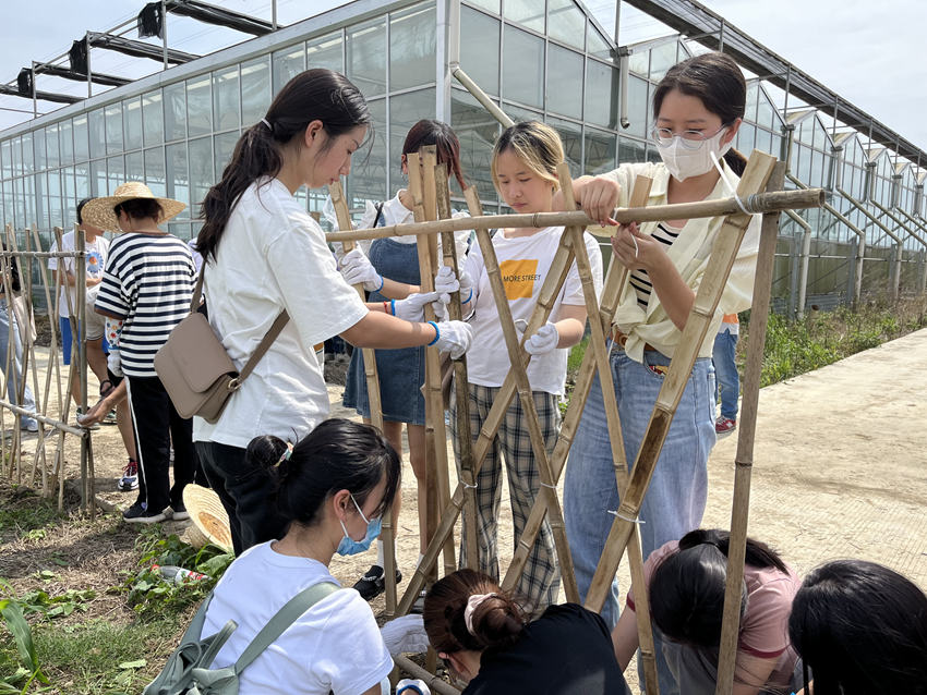 同学们学习花篱制作。杨雯 摄